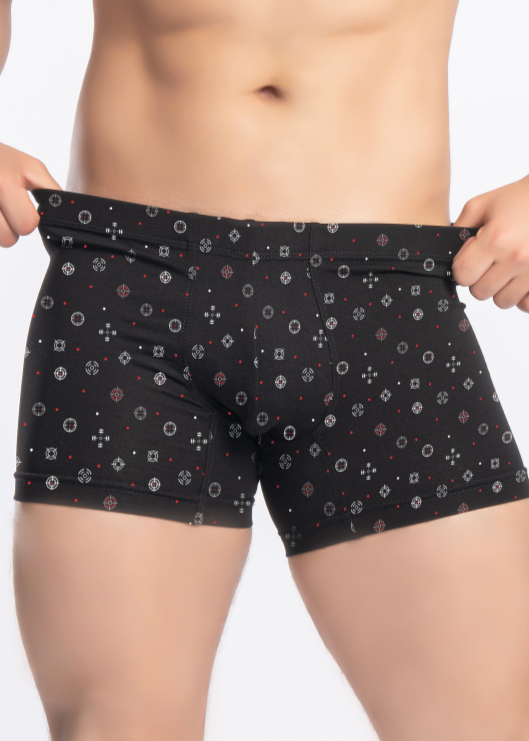 Boxer Classy Pointer